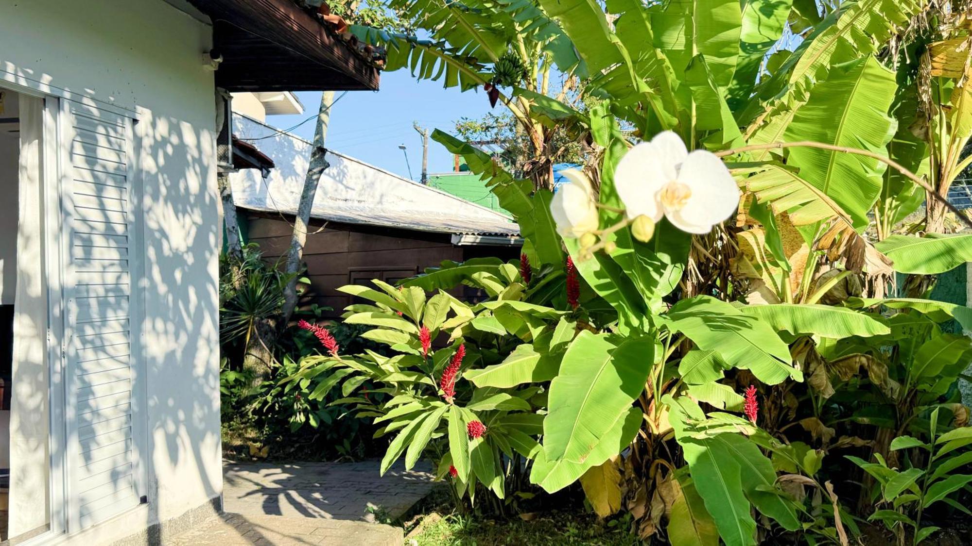 Tombo Beach Yoga E Bem-Estar Guarujá Zewnętrze zdjęcie